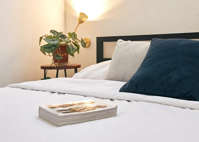 Hotel near College: Jungle Jaffa Hostel Age 18 To 45